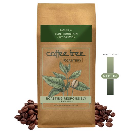 Jamaica Blue Mountain