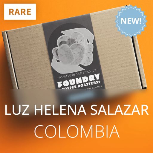 Luz Helena Salazar - Colombia