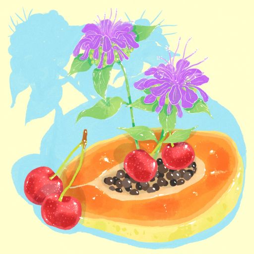 Sudan Rume - Natural - Cafe Granja La Esperanza