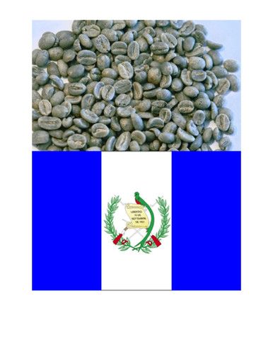 Guatemala Antigua Melena Estate