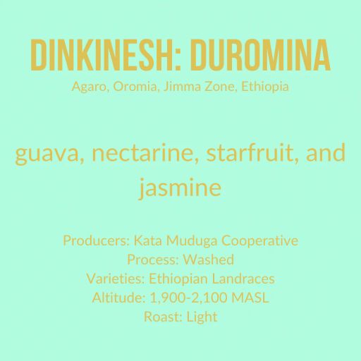 Dinkinesh: Duromina