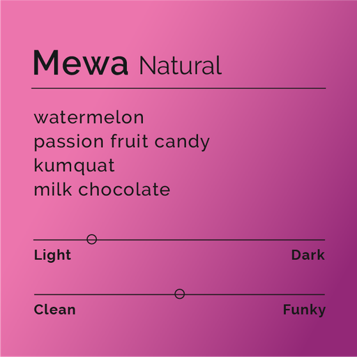Mewa - Natural