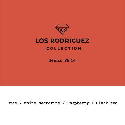 2026 New Crop Bolivia Los Rodriguez Geisha PB