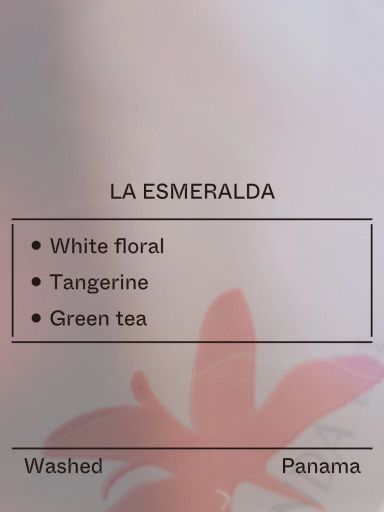 Panama - La Esmeralda, Ethiopian Landrace
