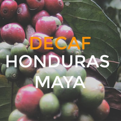 Decaf Honduras Maya Royal Select