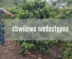 Nikaragua Laurina La Escondida