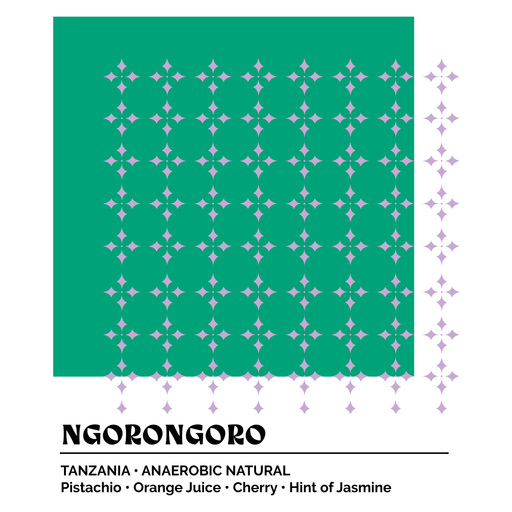 Epoch 9 - Ngorongoro