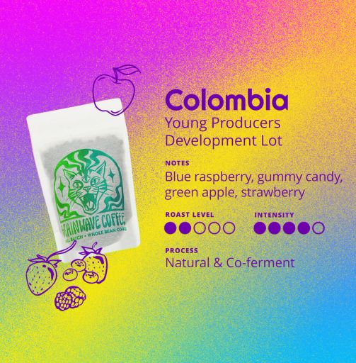 Young Producers Development Lot