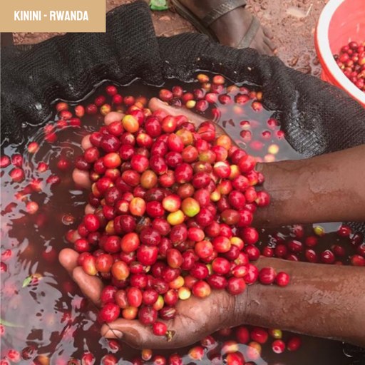 Kinini | Rwanda
