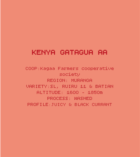Kenya Gatagua AA
