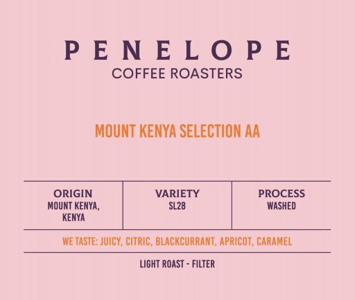 Kenya | Washed | Filter