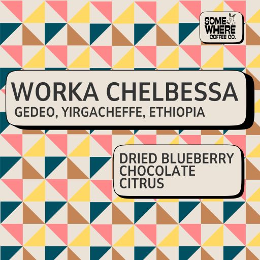 Ethiopia Yirgacheffe | Worka Chelbessa | Washed