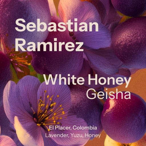 White Honey (Colombia)