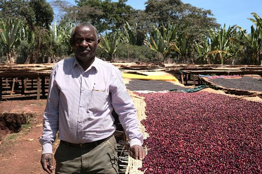 Ayele Fulasa Gesha - Natural