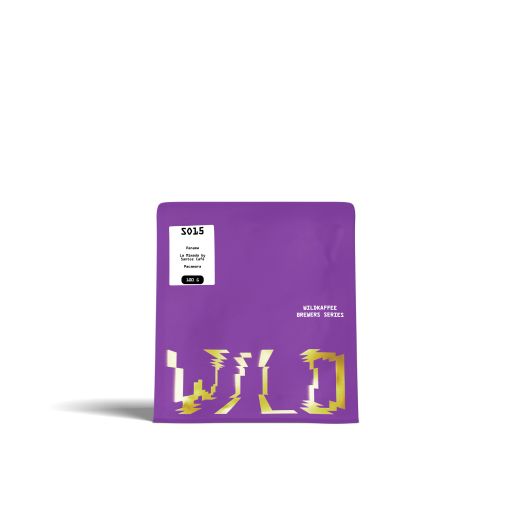 Brewers Series - SO15 - Panama - Santos Café Pacamara