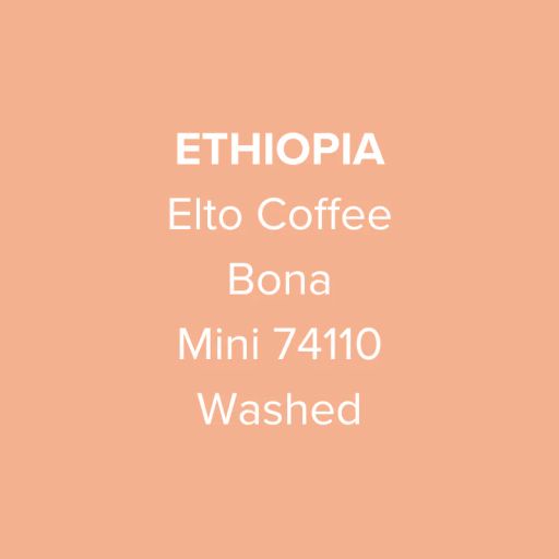 Ethiopia Elto Coffee Sidama Mini 74110 Washed