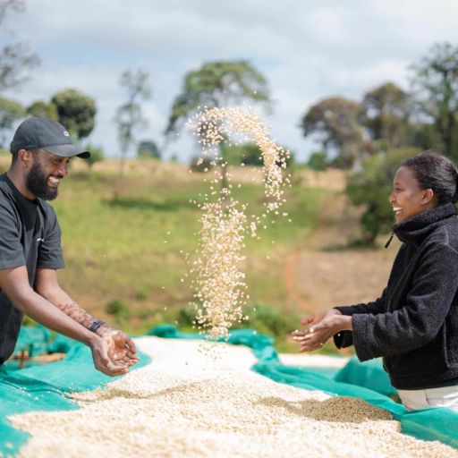 Ethiopia - Elto Coffee - Bona Zuria Natural