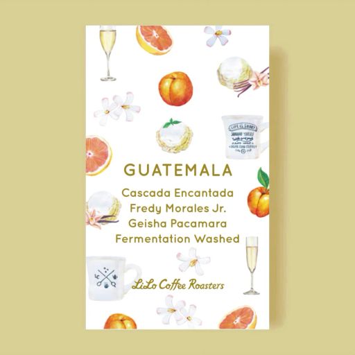 GUATEMALA Cascada Encantada Fredy Morales Jr. Geisha Pacamara Fermentation Washed