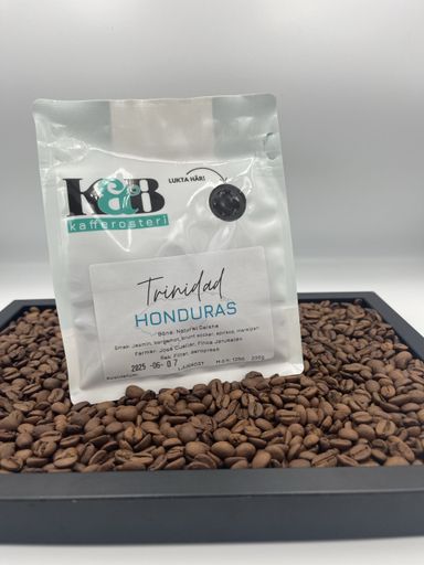 Honduras GEISHA – Trinidad Espresso roast
