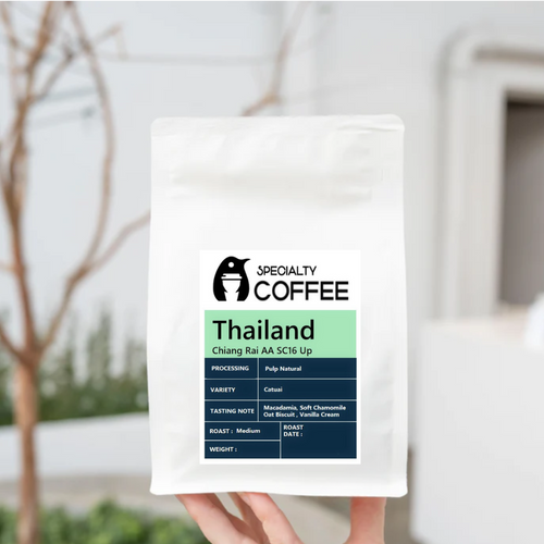 Thailand Chiang Rai AA SC16 Up