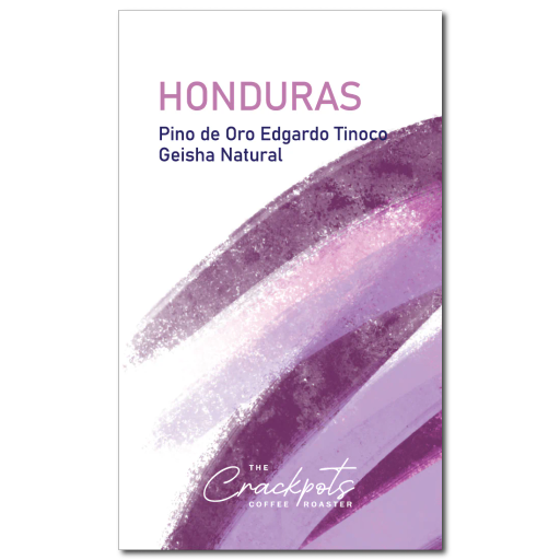 Honduras Pino de Oro Edgardo Tinoco Geisha Natural