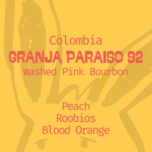 Colombia Paraíso 92 Washed Pink Bourbon