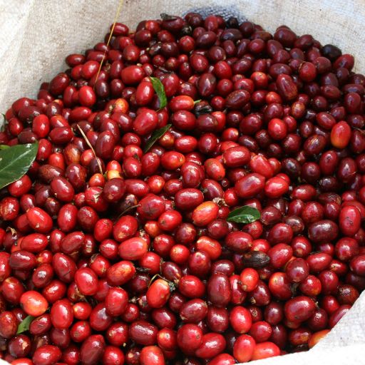 El Salvador Las Mercedes