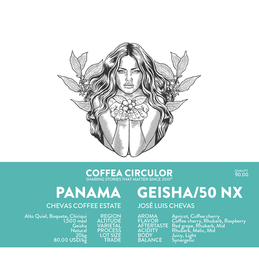 PANAMA Chevas Geisha /50 Natural NX