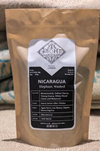 NICARAGUA Elephant (Washed)