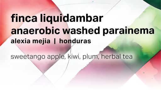 Alexia Mejia Finca Liquidambar - Anaerobic Washed Parainema