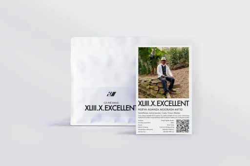 Nueva Alianza Mejorada #4732