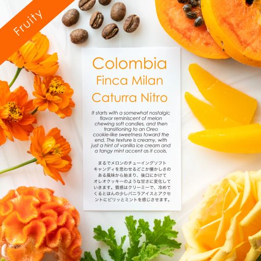Finca Milan Caturra Nitro [Melon & Creamy]