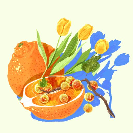 Gesha - Natural "Zorro" - Santa Teresa