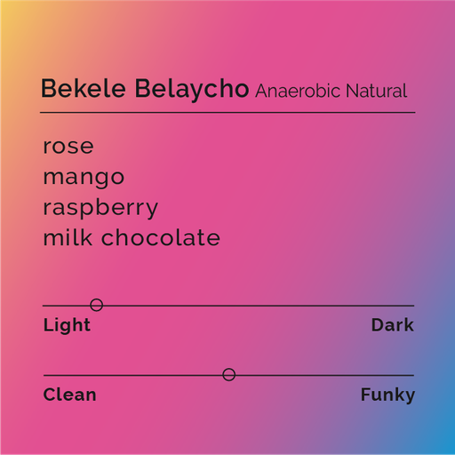 Bekele Belaycho - Anaerobic Natural