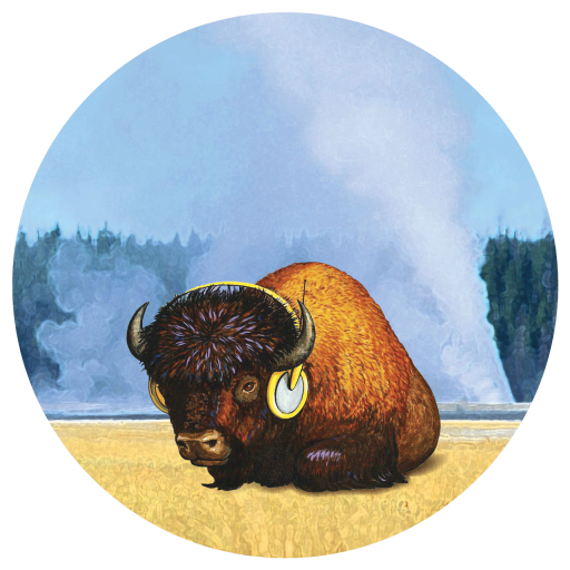 Organic YPR Bison Blend