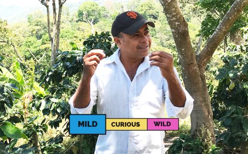 Nicaragua | Monte Libano | Caturra | Washed