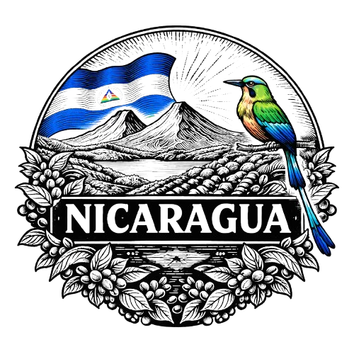 Nicaragua, Finca Buenos Aires, Maracaturra Natural