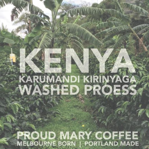 Kenya | Karumandi Kirinyaga (2018) | Washed