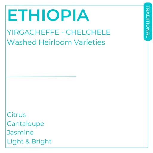 #28 - Yirgacheffe - Washed Chelchele