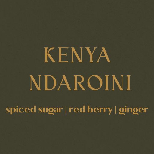 Kenya Nyeri Ndaroini