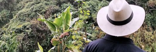 Colombia, Bourbon Amarillo Wet Fermented / Co-fermented