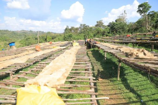 Nano Challa, Ethiopia