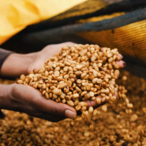 Ethiopia - Kercha Sakicha - Red Honey