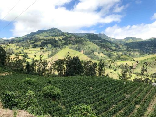 Colombia El Obraje Washed