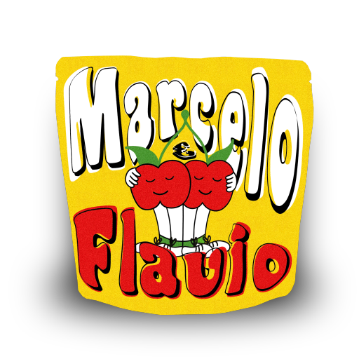 Marcelo Assis Nogueira