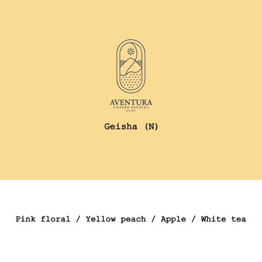 Panama Aventura Coffee Estates Geisha LotD Natural