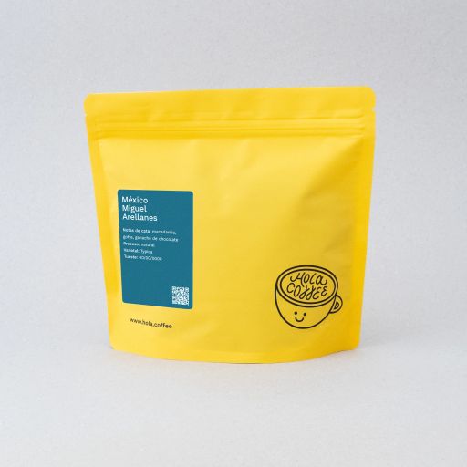 Mexico - Miguel Arellanes