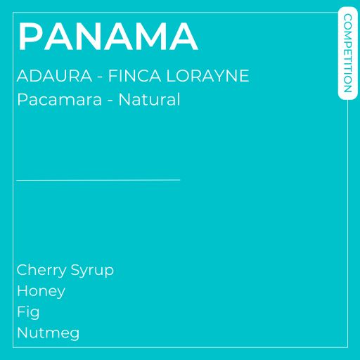 Finca Lorayne - Natural Pacamara