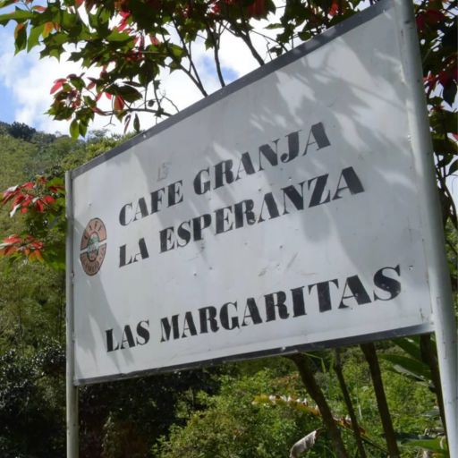 Colombia - CGLE - Las Margaritas - Red Bourbon Honey