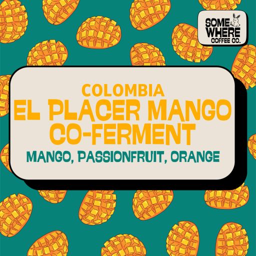 Colombia | El Placer | Mango Co-Ferment
